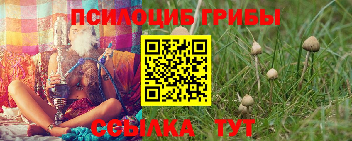 Галлюциногенные грибы ЛСД  Вход с VPN  Канаш 