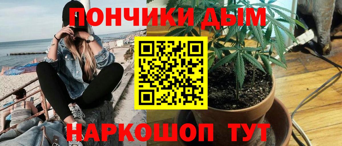 Шишки марихуана конопля Канаш